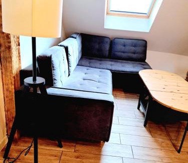 Raciborz Apartment | Browarna 14 jacuzzi, prestige