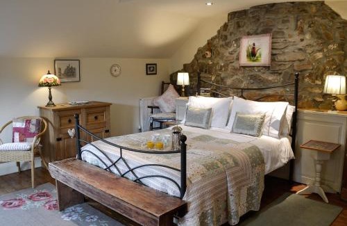 Mold House | Bryn Dedwydd Cottage