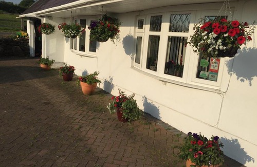 Pontlliw and Tircoed Bed & Breakfast | Brynawel Farm B&B