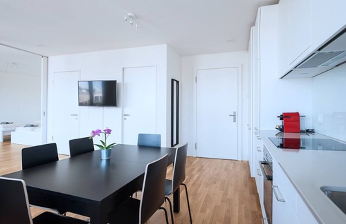 Basel City Centre Apartment | BS Rabbit V - Messe HITrental Apartment