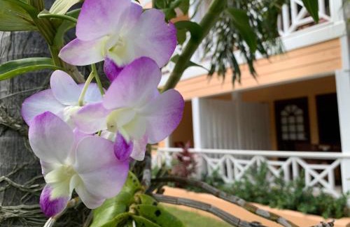 Dickenson Bay Apartment | Buccaneer Beach Club