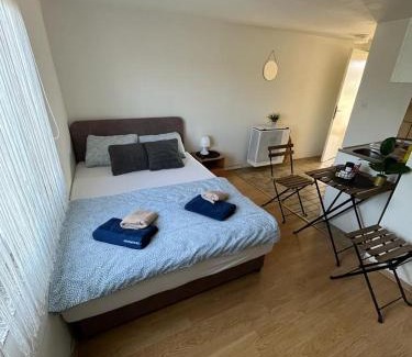 Pozega Apartment | Budget Friendly
