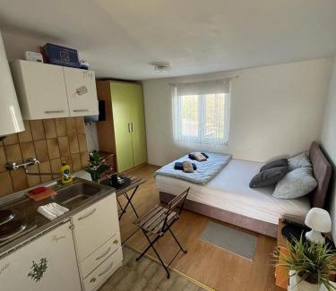 Pozega Apartment | Budget Friendly