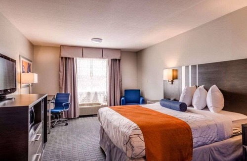 Lexington Hotel | Budget-Friendly Property, Free Breakfast, Onsite Pool, Free Parking