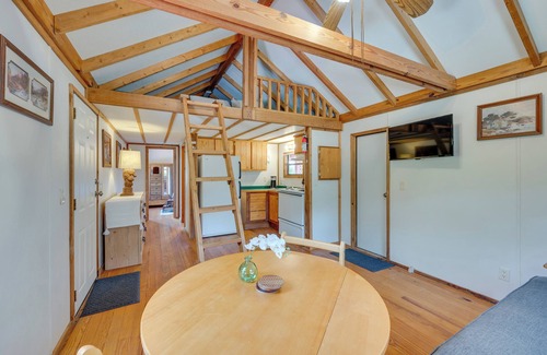 Mauk Cabin | Buena Vista Cabin: Tranquil Haven Near Town Square