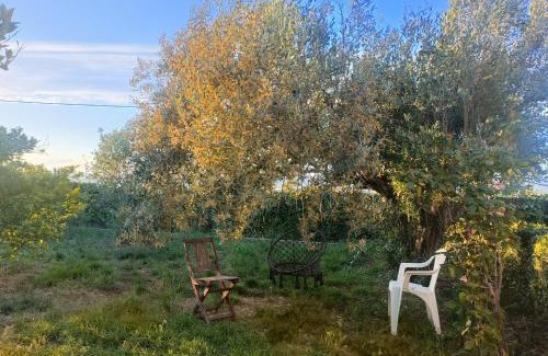 Lliria House | Buenas vistas y privacidad, tranquila y fresca villa en el bosque de Valencia con una magnífica piscina de 80m2