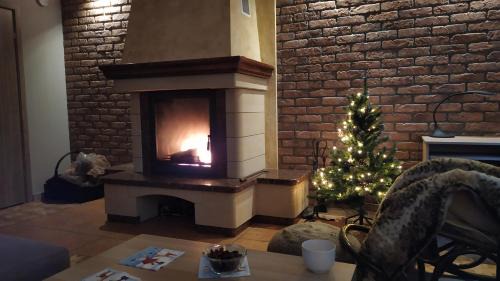 Kobiernice Apartment | Bujaków, apartamenty Zdrojowa 58a