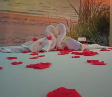 La Louviere Hotel | Bulles d evasion