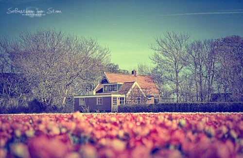 t Zand House | Bungalow Callantsoog