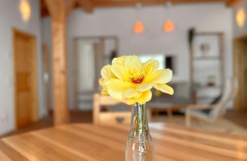 Oggau Apartment | Burgenland Chalet