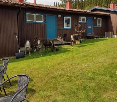 Hallen Cabin | Bydalens Fjällby