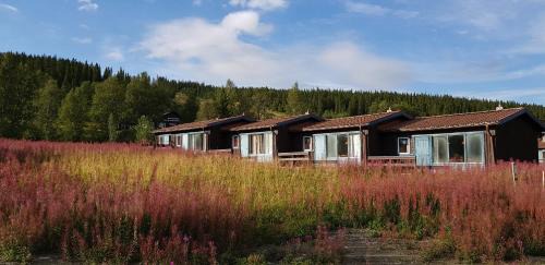 Hallen Cabin | Bydalens Fjällby
