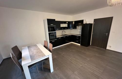Nedvezi u Rican Apartment | Byt apartman 73m2 Klid příroda Parking FREE