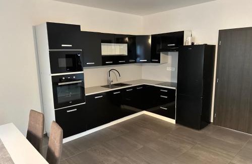 Nedvezi u Rican Apartment | Byt apartman 73m2 Klid příroda Parking FREE