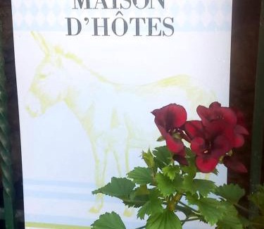 Viviez House | Cèdres Bleus de Joany chez Nathalie
