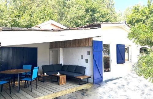 Mees House | C'est une maison bleue adossée à la forêt