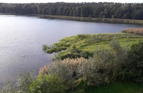 Lidzbark Welski Apartment | Całoroczny Apartament u Grzegorza