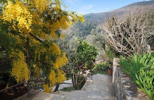 Recco Apartment | Ca' dû Massunin
