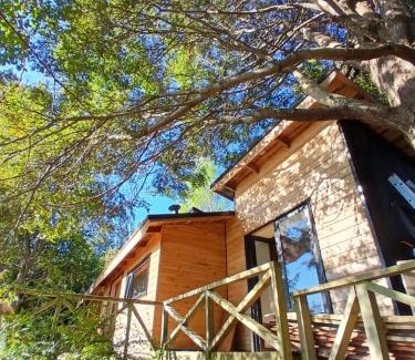 Cunco Ski Chalet | Cabaña con vista al Lago Colico