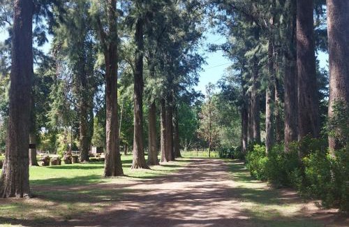 El Peligro House | Cabaña - El Bamboo Eventos