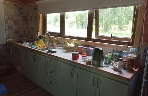 Panguipulli House | Cabaña en Panguipulli