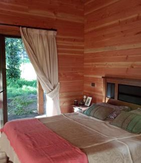 Panguipulli House | Cabaña en Panguipulli