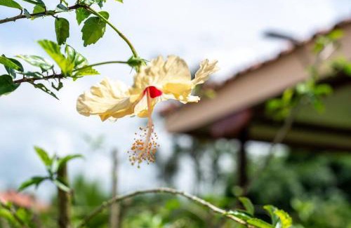 Chachagua House | Cabaña Paraíso Arenal