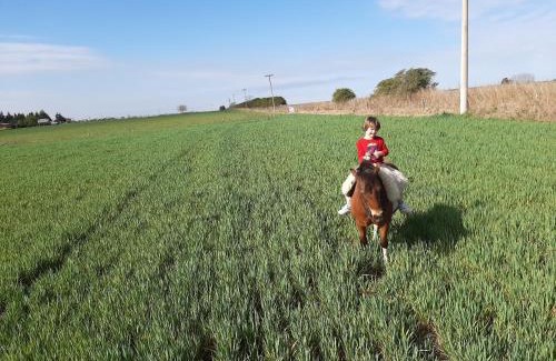 San Antonio de Areco House | Cabaña Rural El Encuentro