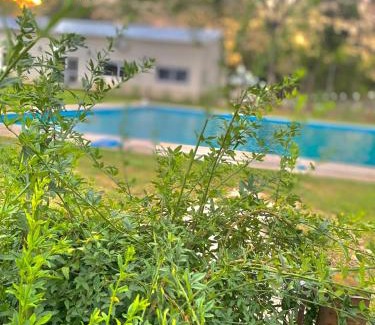 Paso de la Patria Apartment | Cabañas Camping Malvinas Argentinas