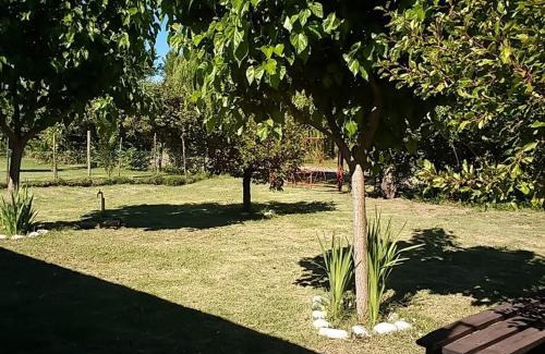 Rama Caida House | Cabañas La Palmera del Atuel