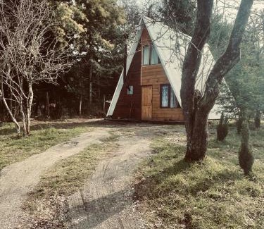 Loncoche Ski Chalet | Cabañas Los Avellanos