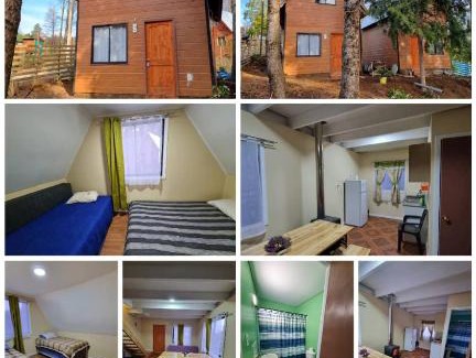 Ralco Ski Chalet | Cabañas Nehuen Antü