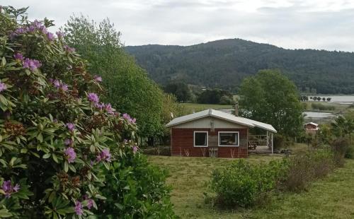 Contulmo Cabin | Cabañas Rucantu
