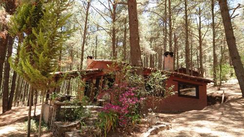 Tapalpa Ski Chalet | Cabañas tapalpa Sierra del Tecuan, Cabaña Tejón