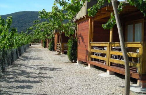 Barx Cabin | Cabañas y Bungalows La Falaguera