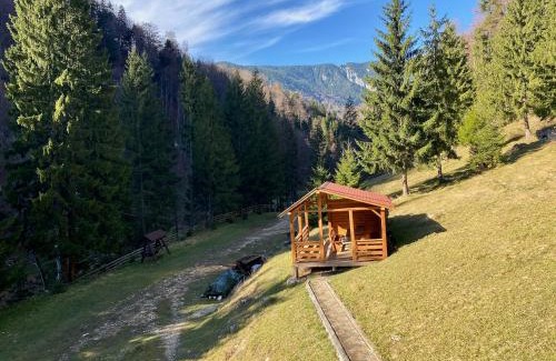 Dambovicioara Villa | Cabana Caprioara - Piatra Craiului