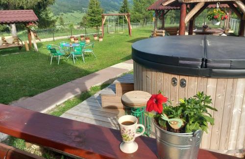 Panaci House | Cabana Dani