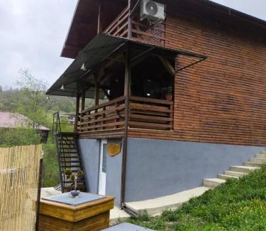 Hangu Ski Chalet | Cabana de lemn Lacul Bicaz