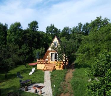 Pucioasa House | Cabana din livada