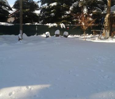 Traisteni House | Cabana din Poveste Valea Doftanei