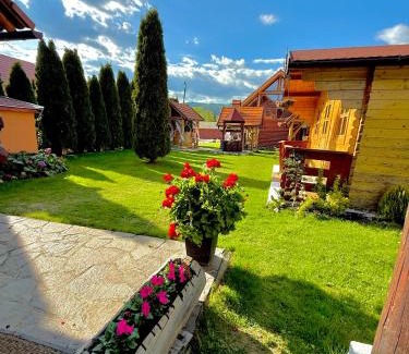 Armaseni Noi House | Cabana Dzsesszika&Erik