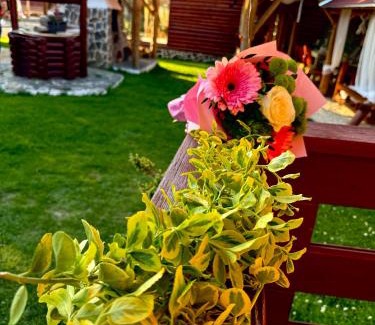 Armaseni Noi House | Cabana Dzsesszika&Erik