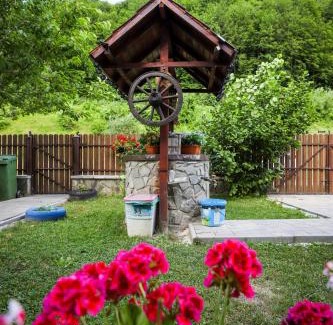 Valea Doftanei House | Cabana Emana