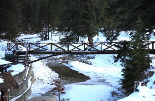 Gura Humorului House | Cabana Ioana
