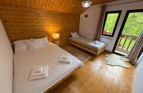 Traisteni House | Cabana Liliana Valea Doftanei