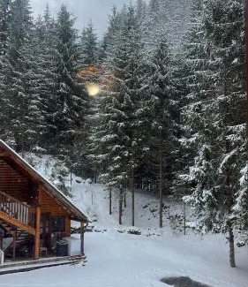 Petrila Cabin | Cabana Mija