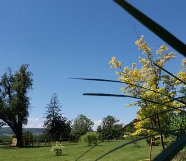 Vire Other | Cabane Aligoté