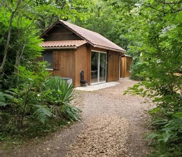 Rouffignac-Saint-Cernin-de-Reilhac Apartment | Cabane des bois