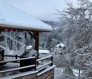 Fougerolles-Saint-Valbert Ski Chalet | Cabane, Kota Gri'hôtes