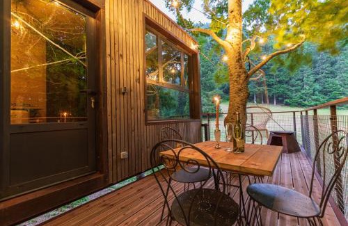 Autrans-Meaudre-en-Vercors House | Cabane perchée La Résilience sur le plateau du Vercors